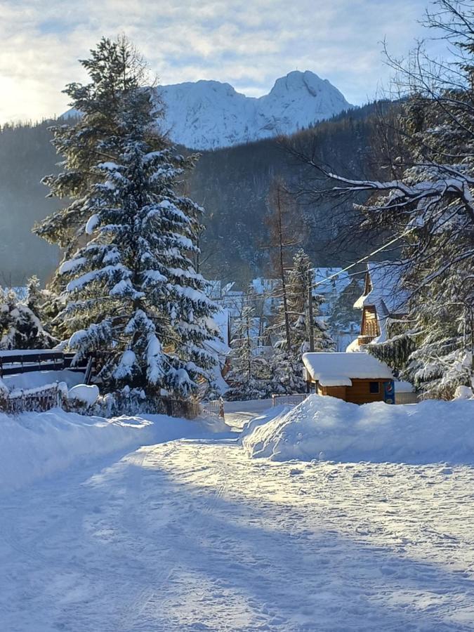 U Tylki Studio Z Widokiem Na Gory Zakopane Luaran gambar