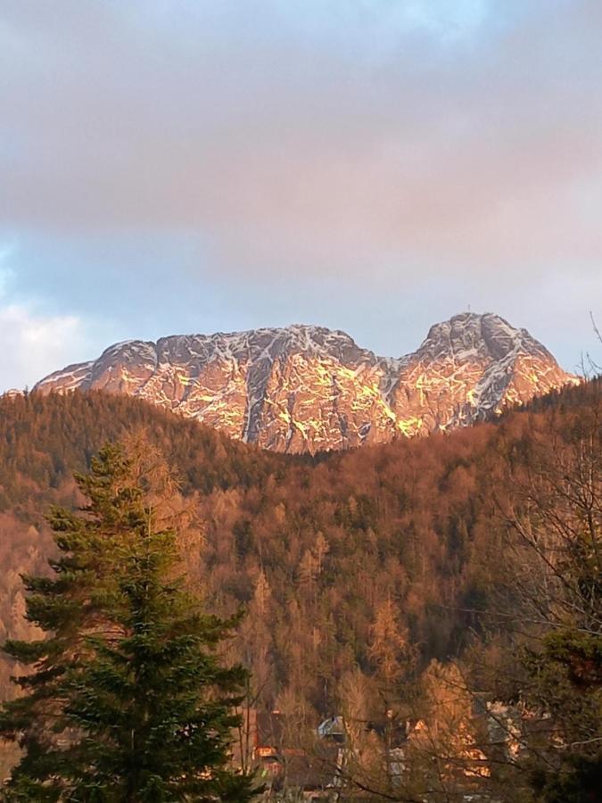 U Tylki Studio Z Widokiem Na Gory Zakopane Luaran gambar