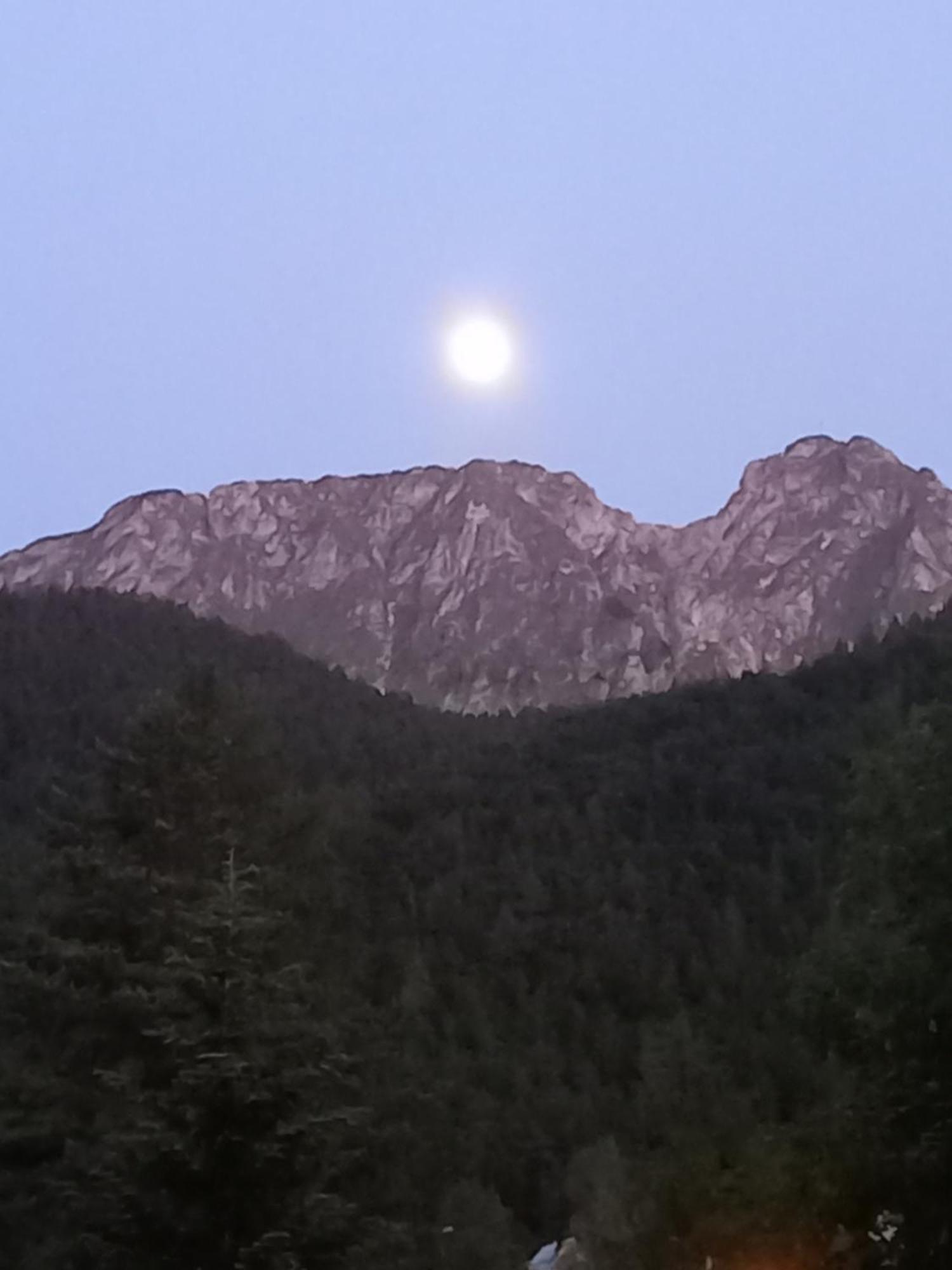 U Tylki Studio Z Widokiem Na Gory Zakopane Luaran gambar